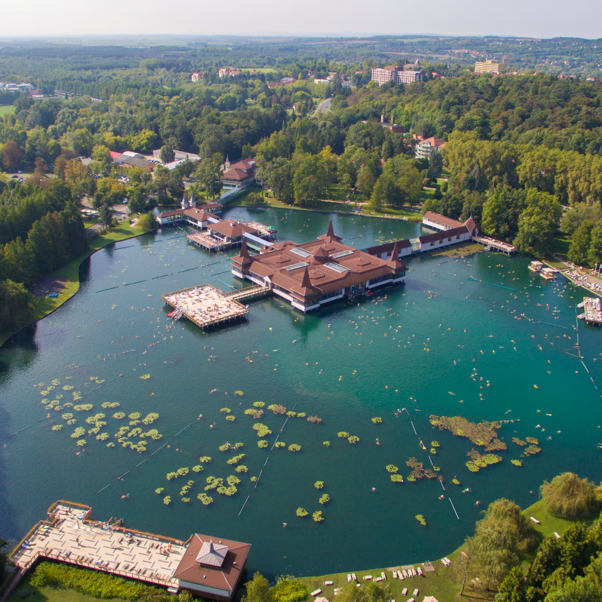 Everyone should know the history of the Hévíz lake The special history of Lake Hévíz