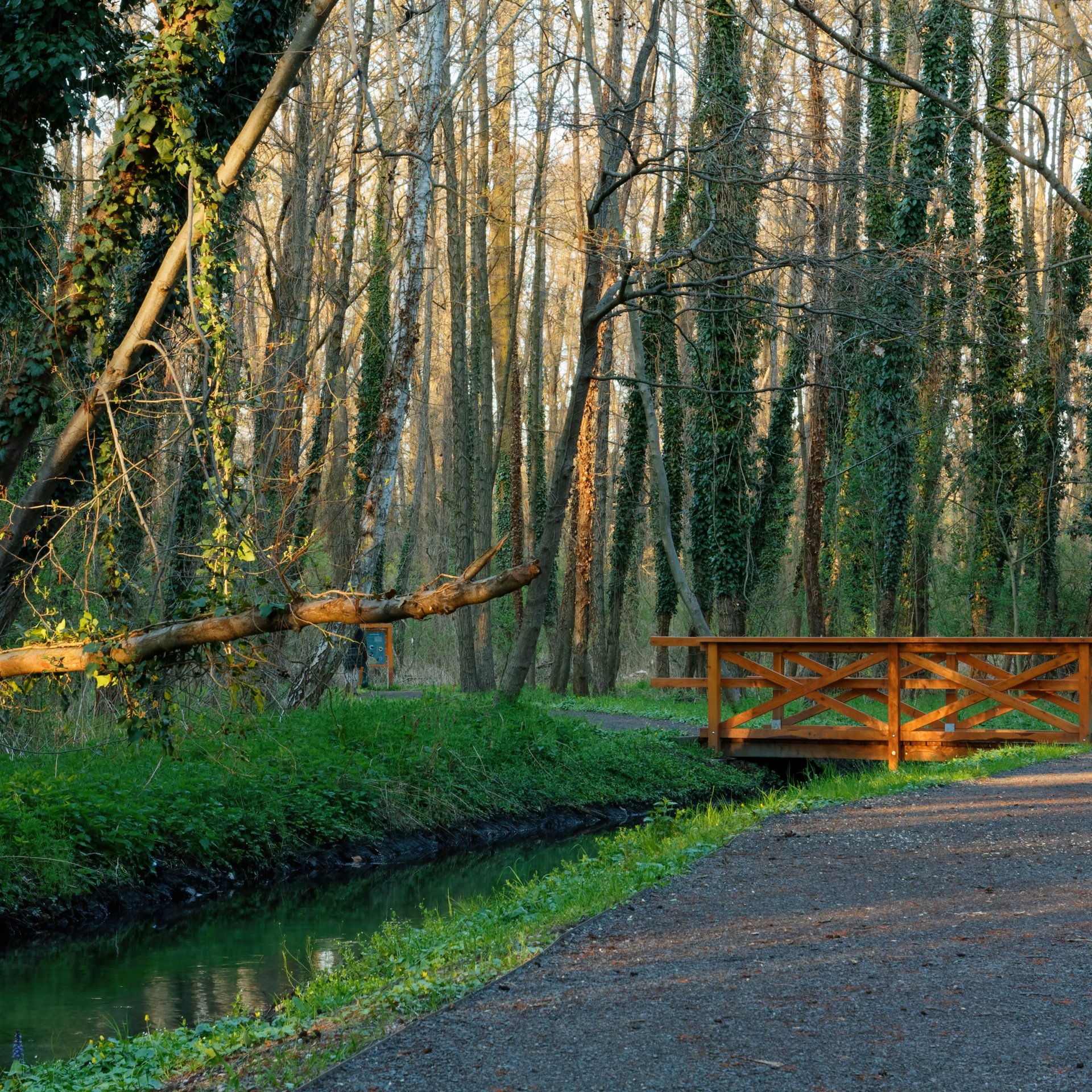 Hévíz und seine Umgebung: Sehenswürdigkeiten, die man sich nicht entgehen lassen sollte In und um Hévíz gibt es viele sehenswerte Attraktionen