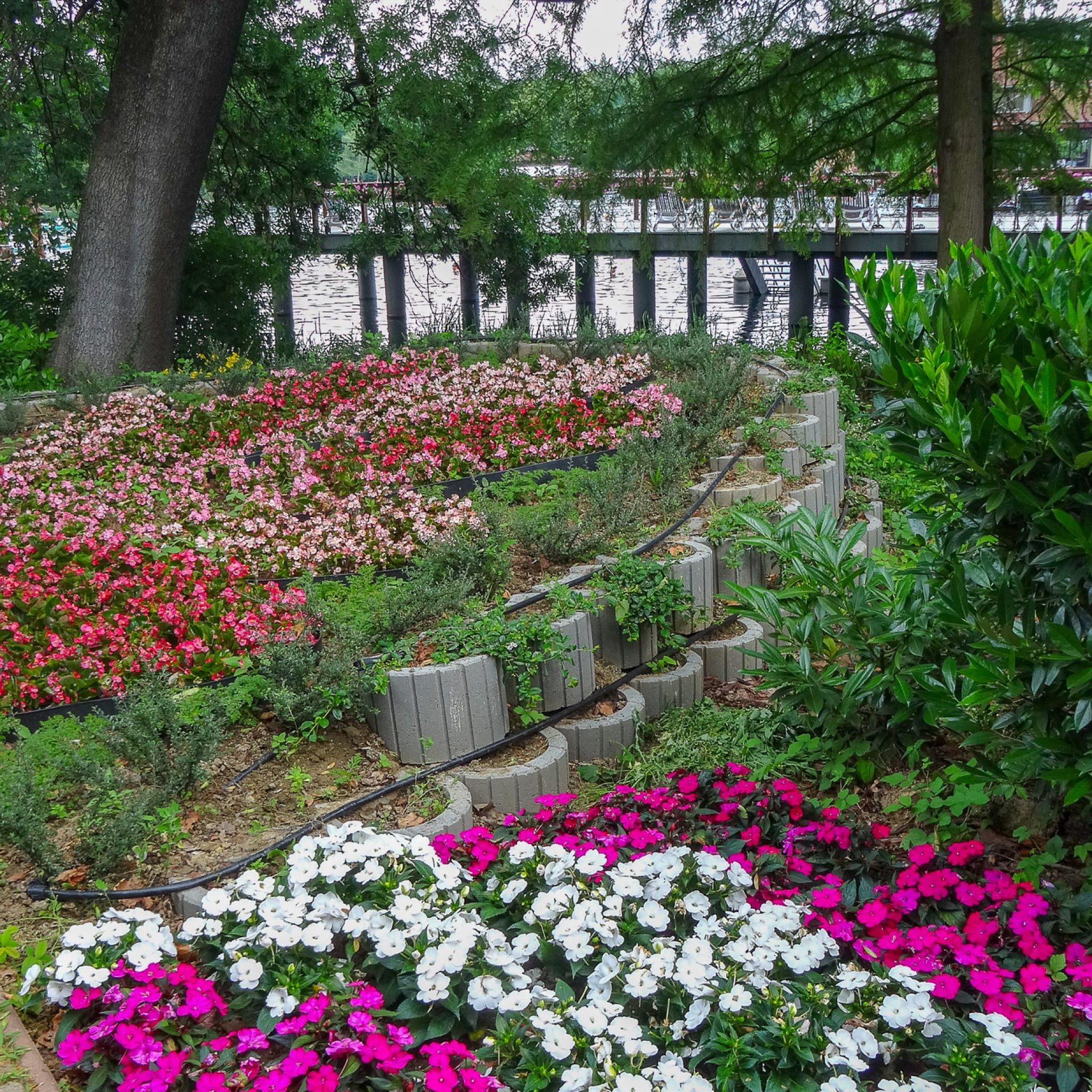 Étterem Hévíz sétáló utca: a legfinomabb ételekkel és borokkal Étterem Hévíz sétáló utca: a legfinomabb ételekkel és borokkal